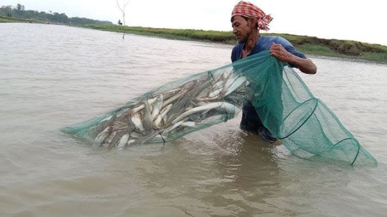 প্রজনন মৌসুমে চায়না জালে দেশীয় মাছ নিধন,