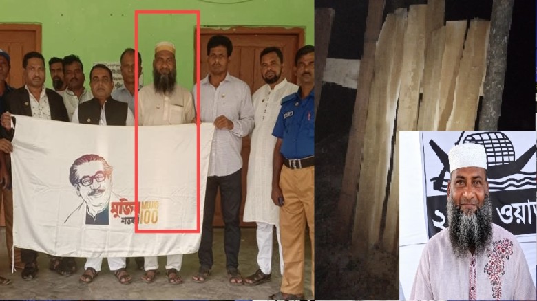 সরকারি সম্পদ গেল কোথায়? বানারীপাড়ায় গাছ 